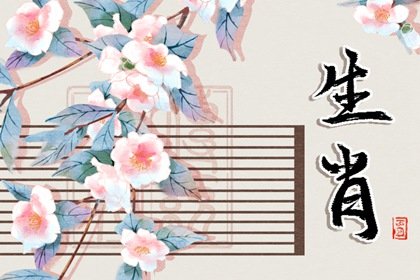 超凡脱俗是哪个什么生肖，释义作答落实