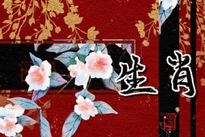 b型血女人的性格特点 B型血女生性格解析