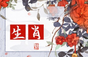 b型血女人的性格特点 B型血女生性格解析